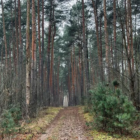 Kacprowy W Lipnicy * Lipnica (Slupca)