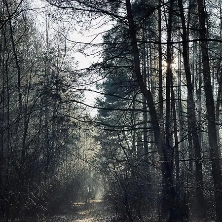 Chata Kacprowy W Lipnicy - Wraz Z Ogrodem Na Wylacznosc *