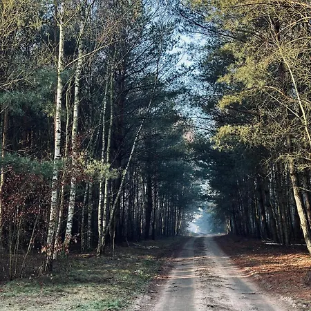 Kacprowy W Lipnicy - Wraz Z Ogrodem Na Wylacznosc Chata Lipnica (Slupca)