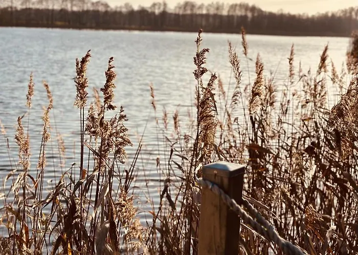 Lodge Kacprowy W Lipnicy - Wraz Z Ogrodem Na Wylacznosc *