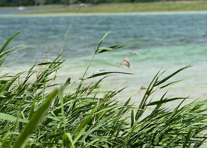 Kacprowy W Lipnicy - Wraz Z Ogrodem Na Wylacznosc Lipnica (Slupca)