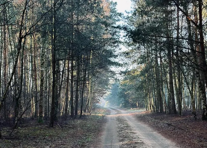 Lodge Kacprowy W Lipnicy - Wraz Z Ogrodem Na Wylacznosc