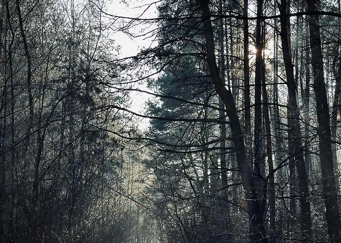 Lodge Kacprowy W Lipnicy - Wraz Z Ogrodem Na Wylacznosc *