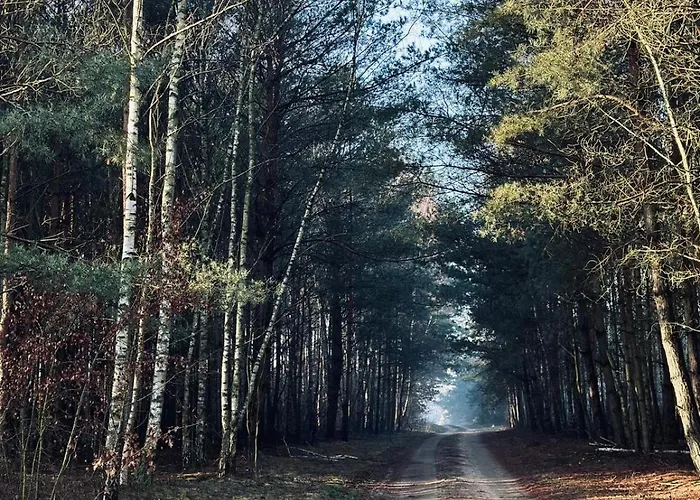 Kacprowy W Lipnicy - Wraz Z Ogrodem Na Wylacznosc Lodge Lipnica (Slupca)